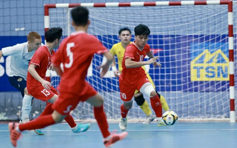liet ke top cac giai bong da viet nam tham gia 2026 an ngu cung san co