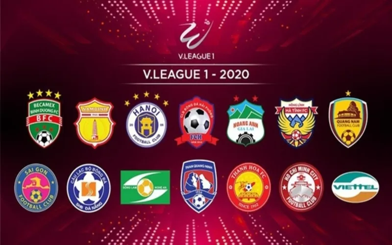 liet ke top cac giai bong da viet nam tham gia 2026 an ngu cung san co
